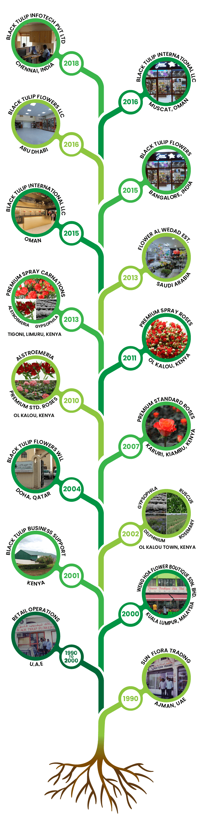 Our journey-compressed BTG Journey